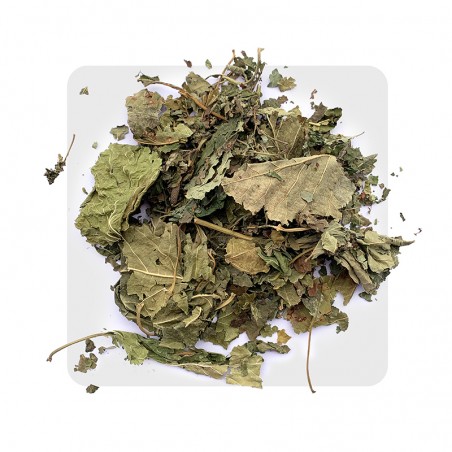 Essentia Foglie di gelso