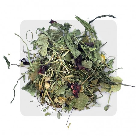 Essentia Fior di Frutta